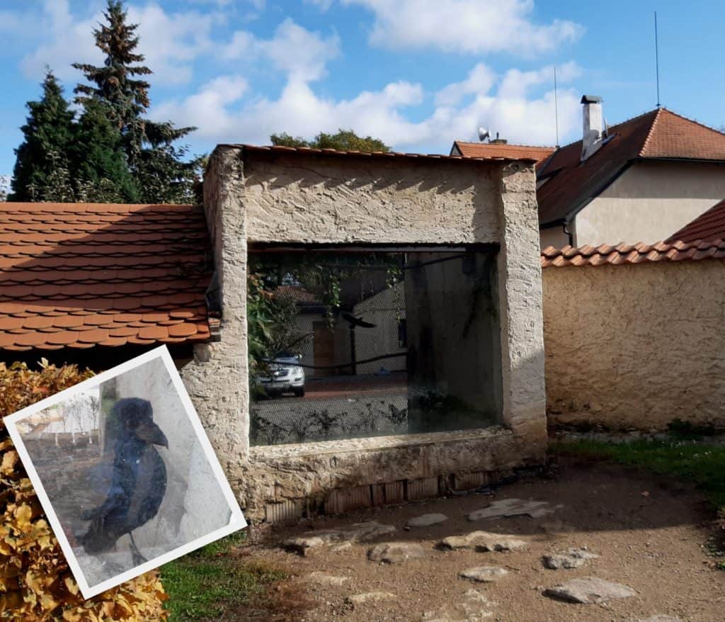 Vyšehrad s dětmi