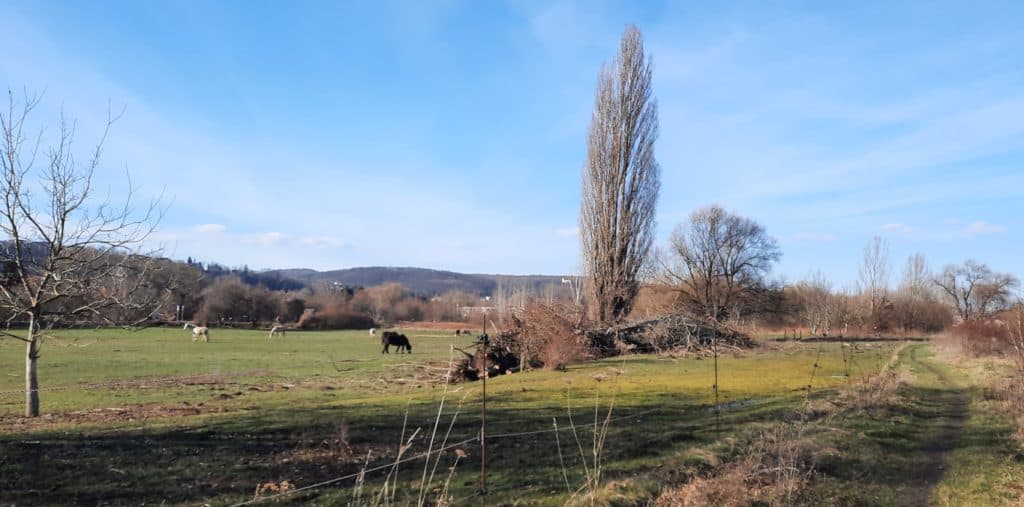 Kam s dětmi v Praze: Rozhledna na mostě, Lahovický most