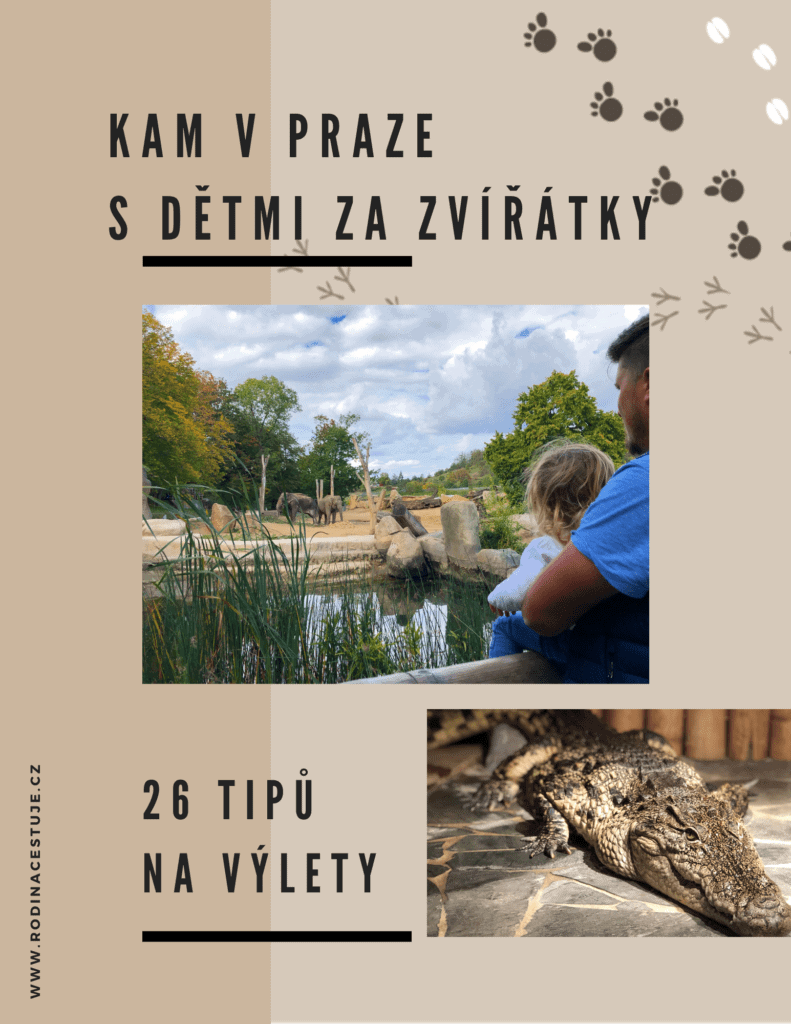 Kam v Praze s děti: Kam za zvířátky v Praze