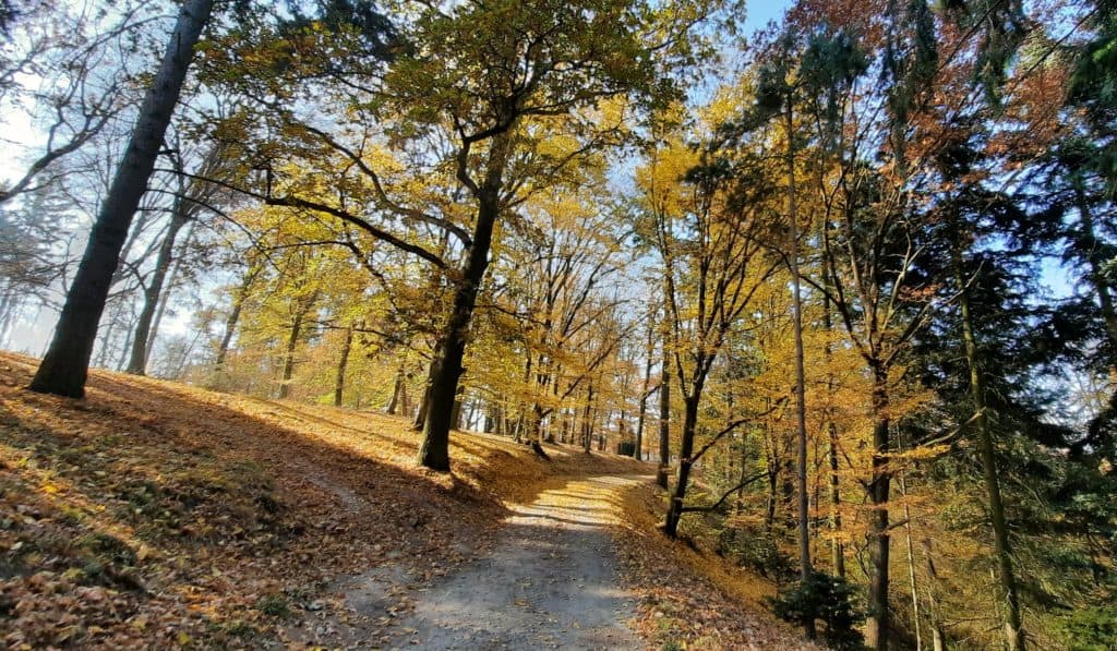 Kam s dětmi v Praze: Průhonický park