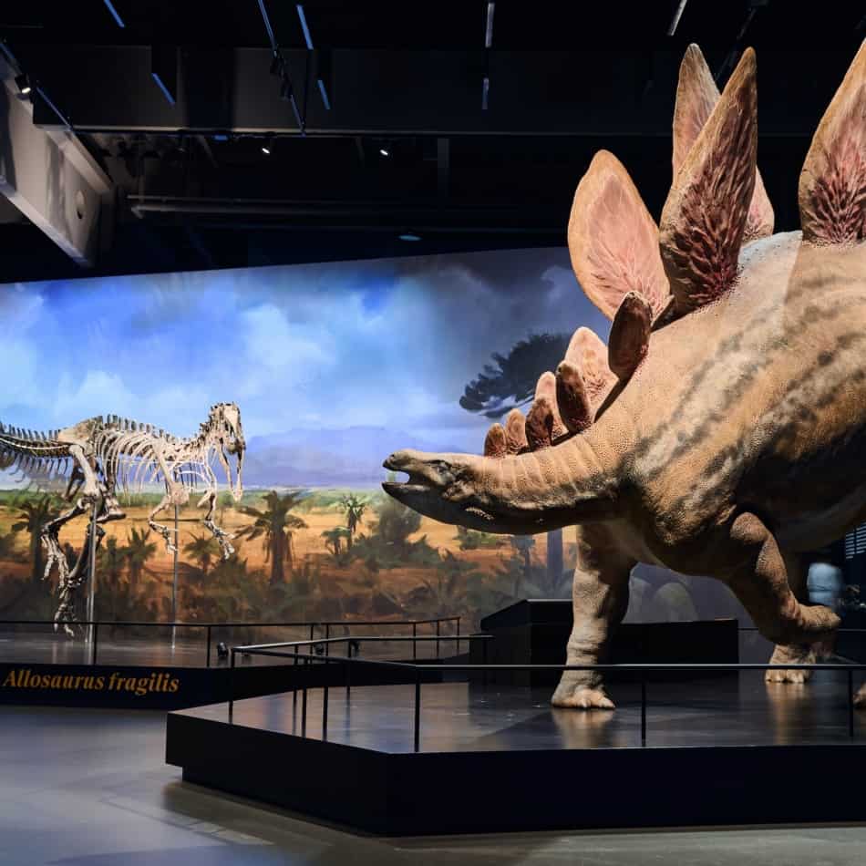 Pražské zkratky: Dinosaurium Museum Prague