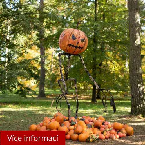 Botanická zahrada